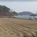 유성구대동보건진료소 네이버블로그
