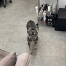 차차네일샵 | [경기/부천]송내역 네일 ‘차차네일샵’ 원컬러 젤네일 후기!