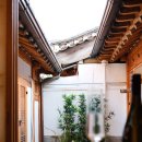 스테이안 이미지