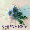 즐거운 이미지