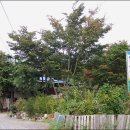 지경목장 이미지