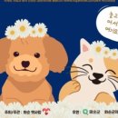 화순 하니움문화스포츠센터 문화광장 이미지