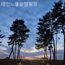 태안노을숲캠핑장