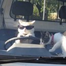 완산방-15 이미지