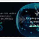 노보셀바이오