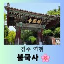 신라빌 | [경주 여행] 신라 천년의 불교가 살아 숨 쉬는 &#34;불국사&#34; 추억 가득한 방문 후기