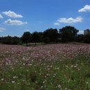 광양커뮤니티센터 이미지