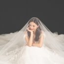 커스텀가든 네이버블로그