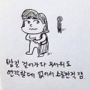 팜로드