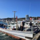 울진후포수산업협동조합 이미지