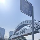 봄맞이 꽃 사러 다녀온 양재꽃시장 후기 운영시간부터 구매팁까지