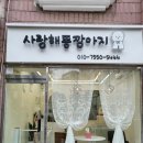 은평애견 | 미용 1인샵 &#39;사랑해똥깡아지&#39;에서 경험한 은평구 애견미용 후기 – 반려견 스트레스 없는 동반미용과...