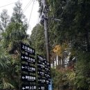 금가네 수산 | 후쿠오카 4박 5일 혼자 여행 – 경비 80만원으로 다녀온 조용한 여행 (+여행 계획 링크 공유)