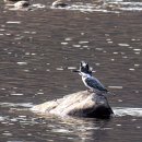 호반으로 여행 이미지