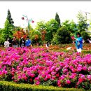 가음정사거리 이미지