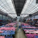 라클래시오성공인중개사사무소 이미지