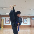 합기도해동검도거호관