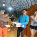 은해 농장 이미지