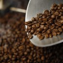 커피 이야기 (핸드드립 & 커핑 등) 이미지