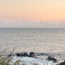 도구리알 | 제주도 돌고래 스팟 제주서쪽 관광지 도구리알 후기