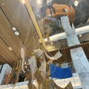 몬드리안서울이태원(MONDRIAN SEOUL ITAEWON) | 4년만에 갑자기 생각나서 와본 몬드리안호텔 둘러보고 보광동을 중심으로 용산구 상권분석