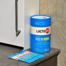 위케어 | 직접 알아본 락토핏 위케어 후기 위점막보호 위건강유산균 추천