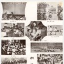 [그때 그시절-추억속으로] 춘천국민학교 제63회(1971년) 졸업앨범 이미지