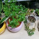 세경농장 이미지