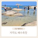 CU 고성자작도해변점 | 자작도해수욕장 고성 아이랑 가기좋은 해변