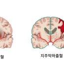 신강한의원 이미지