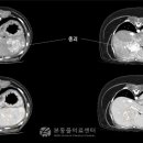 본 동물 건강검진영상센터 이미지