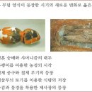 제10회 고급 4번 문제 해설(독무덤과 널무덤 등장 시기의 사회) 이미지