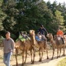 상필농장 이미지