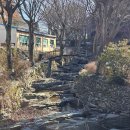 [경남 창원] 세시라기 : 울창한 숲속에 위치한 마산 내서읍 신상 북카페