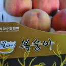 미륵산농장 이미지