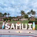 블루웨이(Blue way) | 코사무이 공항 라운지 pp카드 없이 무료 이용 방콕에어웨이 라운지