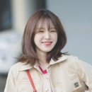 더차헤어강남