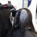 블룸헤어 네이버블로그