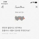 스튜디오몬탁