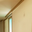 유영빌딩 이미지