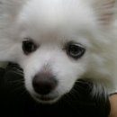 까꿍이 하우스 이미지