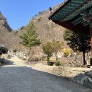천태산죽염