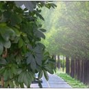 무동초등학교(신설) 이미지