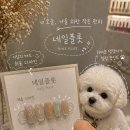 네일플롯