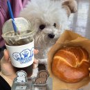 스댕 | 담양 맛집ㅣ귀여운 강아지와 키치한 분위기 ‘스댕’ 후기ㅣ담양 여행 중 만난 인생 소금빵