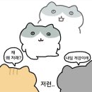 진하우스 이미지