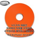 나드리독 이미지