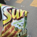 #뭐? 햄미미가 취업을 해???
