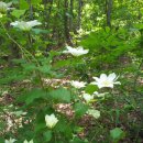 해찬솔가 이미지