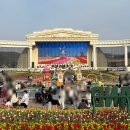 대룡산주차장(간이화장실) | 에버랜드 튤립축제 하늘정원 매화 휴식 티T익스 놀이기구 꿀팁 무료주차장 3월오후방문후기